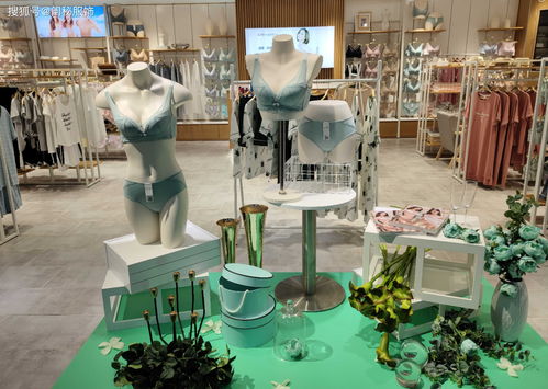 內衣加盟怎么選品牌,應該注重品牌的哪些方面