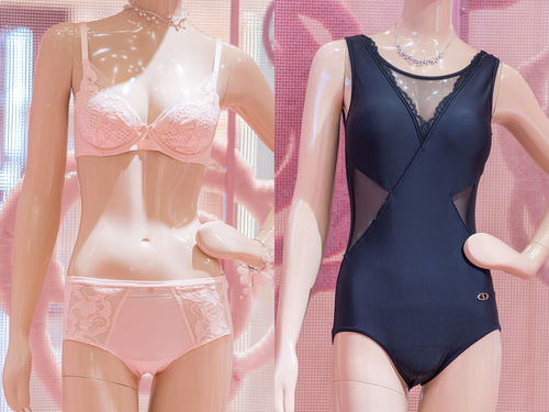 舒適美學,優雅綻放 安莉芳攜玫瑰蝴蝶仙境現身申城