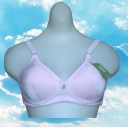 藝利內衣 項目簡介 價格費用 可以加盟嗎