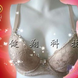 保健磁療文胸招商佳品磁療文胸百分百保健用品供應商 天津托瑪琳遠紅外磁療保健內衣廠