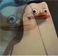 背背佳、婷美內(nèi)衣、腦白金,那些曾紅極一時(shí)的產(chǎn)品如今去哪了