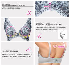 菲麗雅高檔女精品內衣 調整聚攏蕾絲條紋刺繡文胸 公主奶罩乳罩