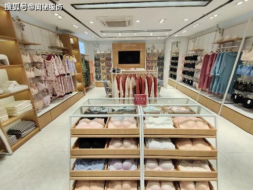 什么內衣品牌開店更有優勢 怎么樣才能被消費者信賴