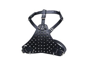 帶狼牙釘寵物胸背 義烏眾美寵物用品廠(chǎng)的創(chuàng)新設(shè)計(jì)與市場(chǎng)前景