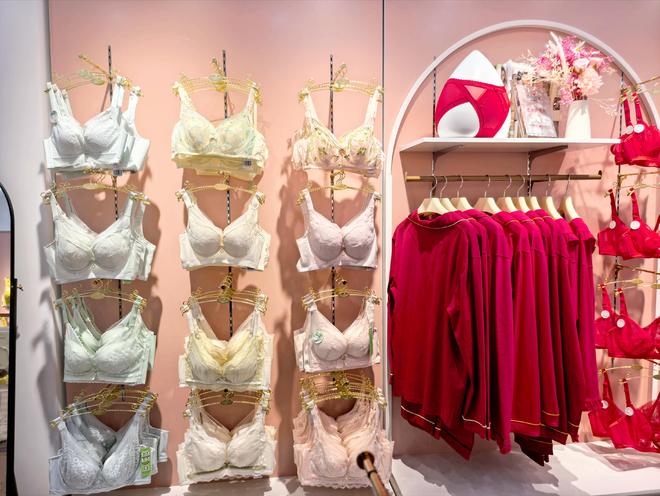 芭妮雅植物內衣 全品類 + 高盈利，開啟創業新方向